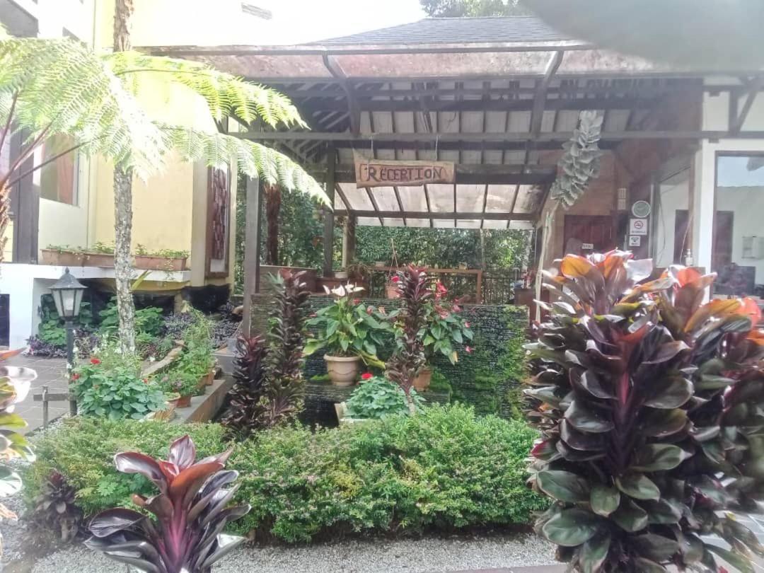 Cahaya Villa Tanah Rata Buitenkant foto